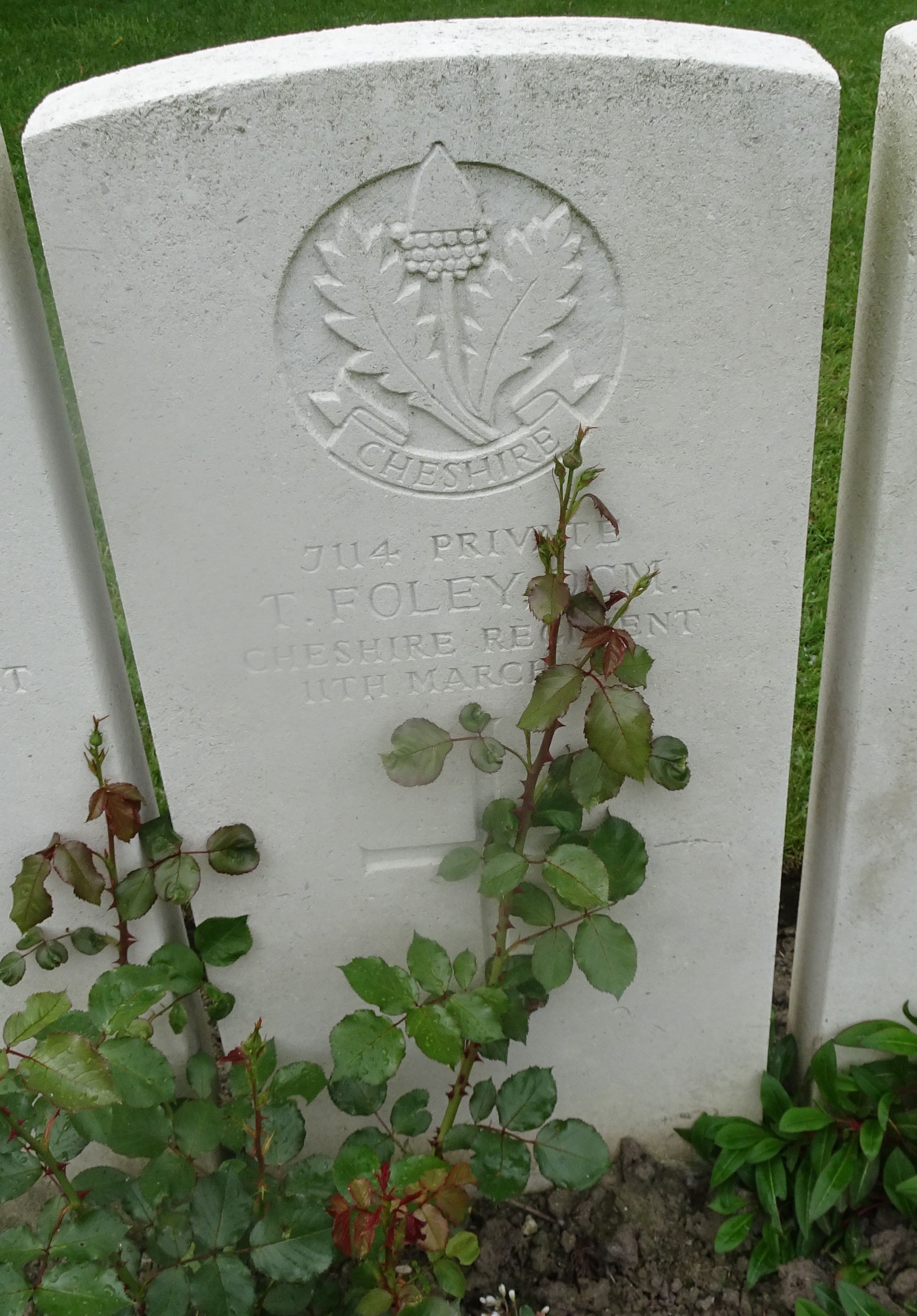 Pte T Foley DCM 110315