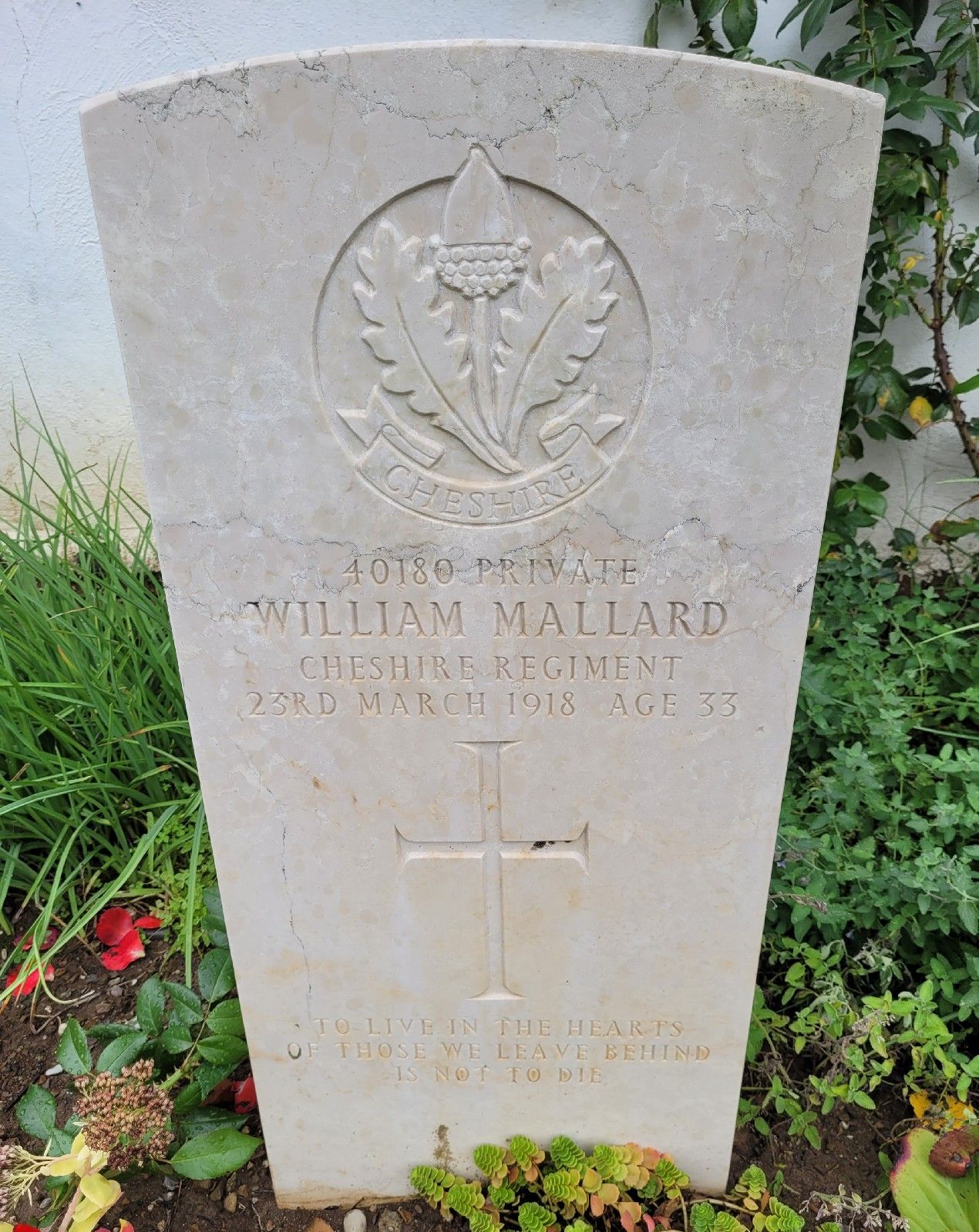 Pte W Mallard 230318 Arquata Scrivia Communal Cemetery Extension
