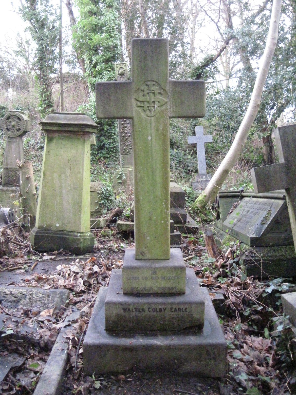 Capy WC Earle 070415 UK