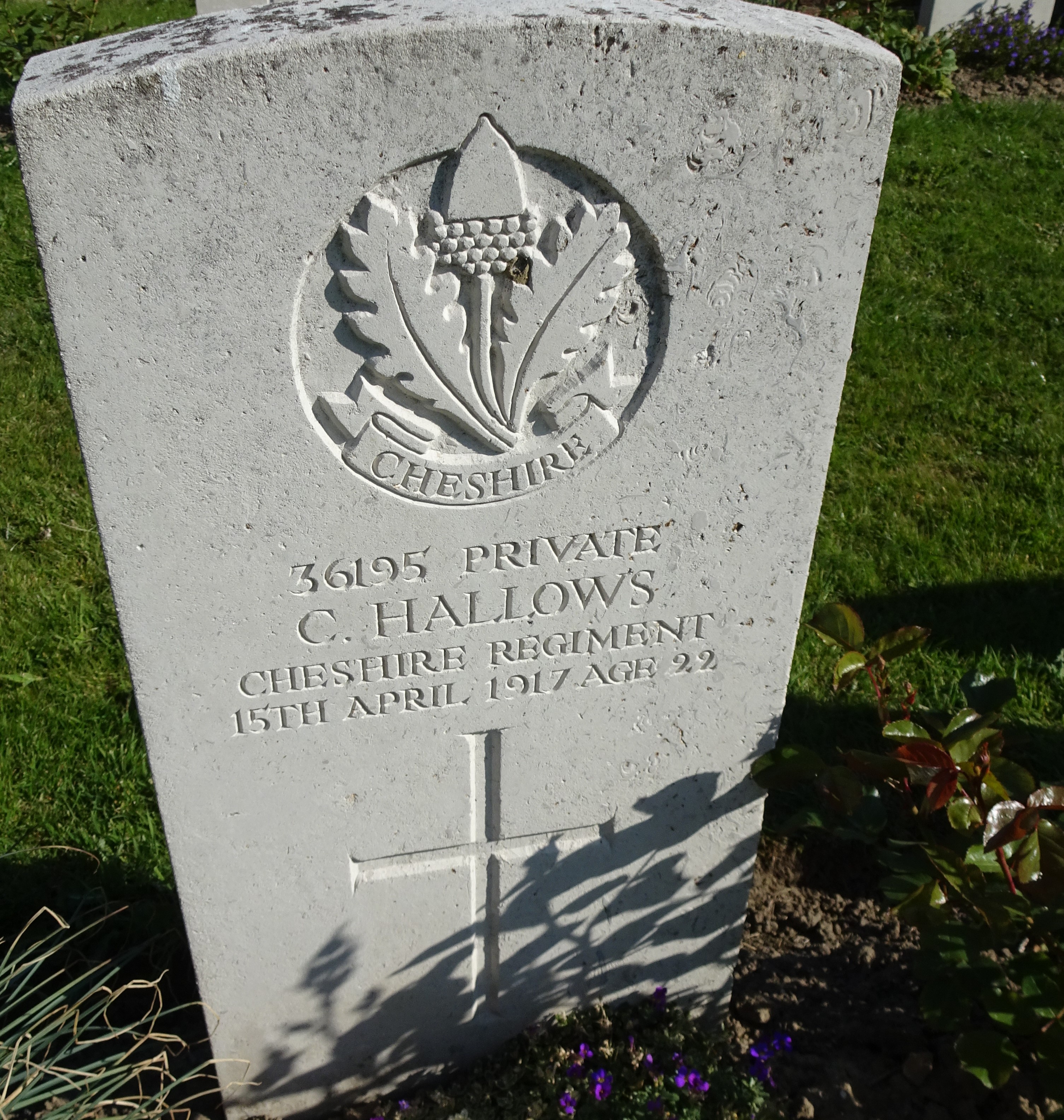 Pte C Hallows 150417