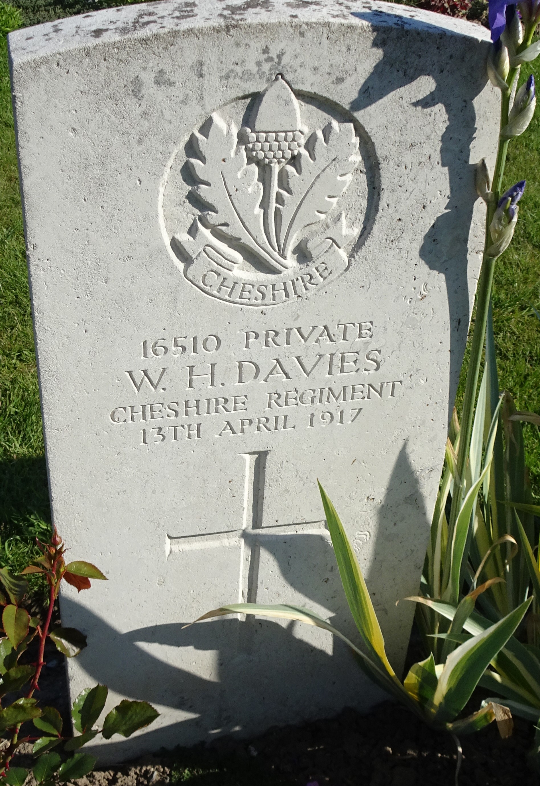 Pte WH Davies 130417