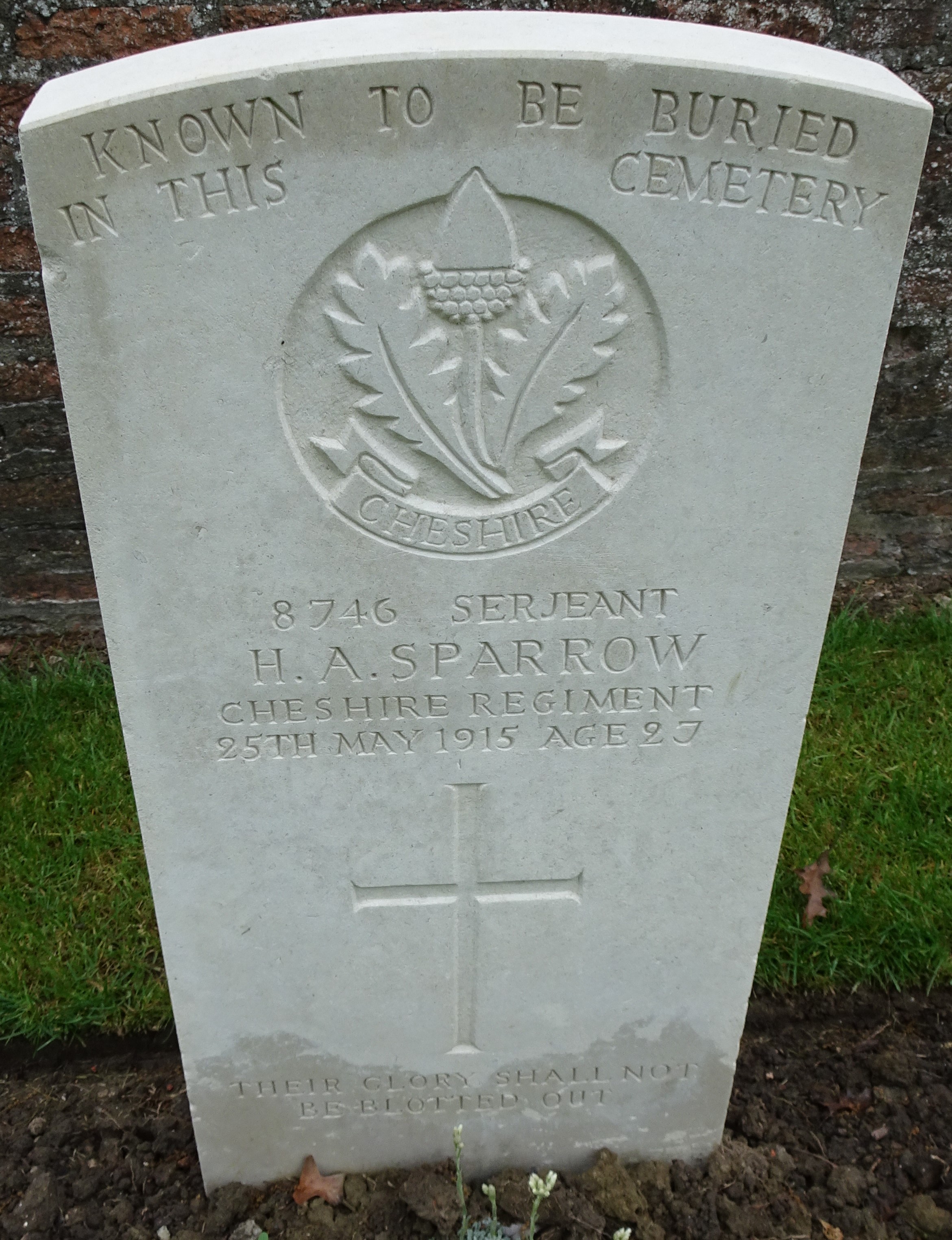 Sjt HA Sparrow 250515