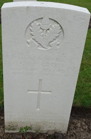 Dmr SMR Green 110615