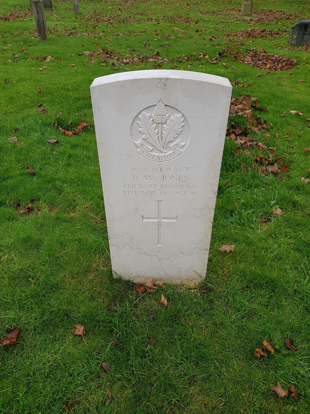 Sgt DW Jones 050617 UK