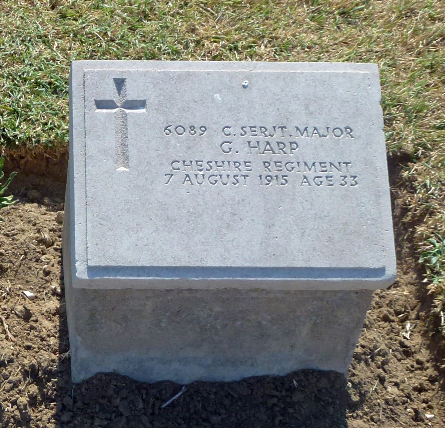 CSM G Harp 070815 TY