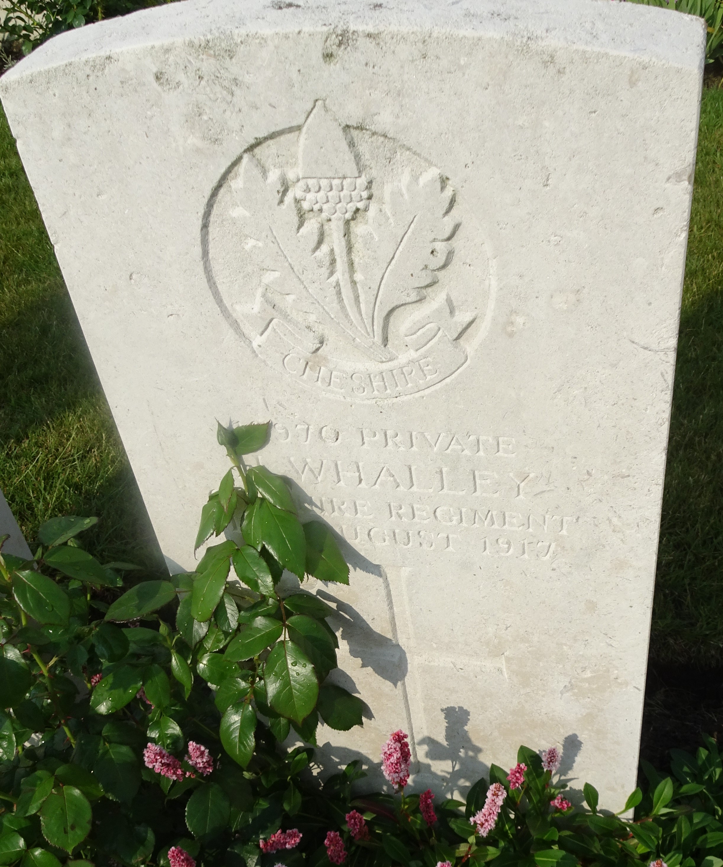 Pte H Whalley 110817