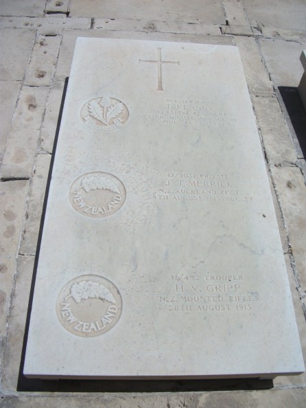 Pte J Plant 220815 MT