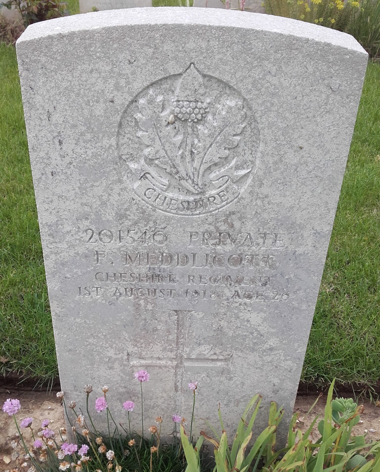 Pte T Meddicott 0101818 FR